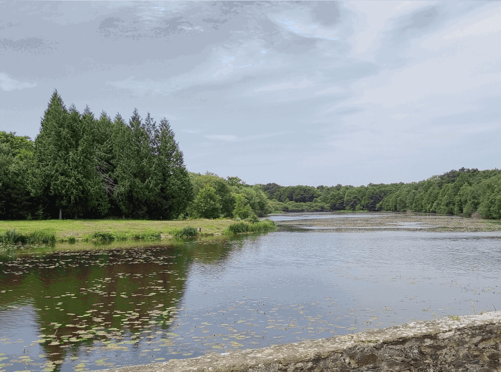 Etang de Château-Trô
